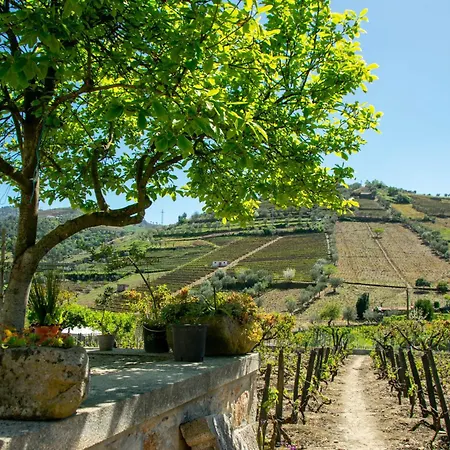 Дом отдыха Cosy Historical House In - Quinta Do Cabo Ламегу