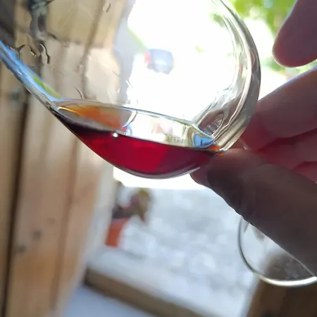 Cosy Historical House In - Quinta Do Cabo Casa de Férias *