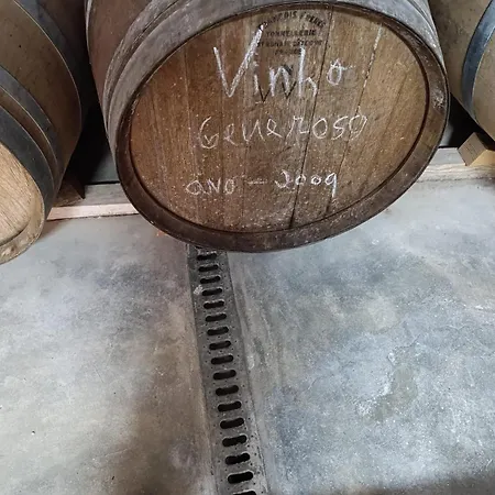 Cosy Historical House In - Quinta Do Cabo * ラメゴ