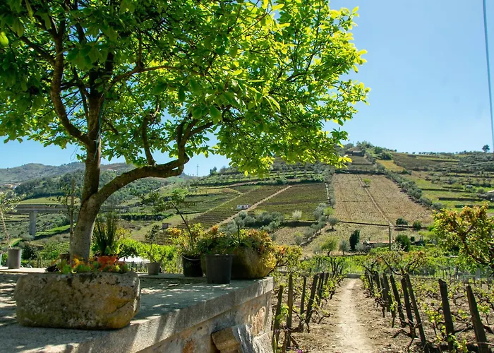 度假居 Cosy Historical House In - Quinta Do Cabo 拉梅戈