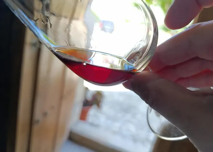 Cosy Historical House In - Quinta Do Cabo Ferienhaus *