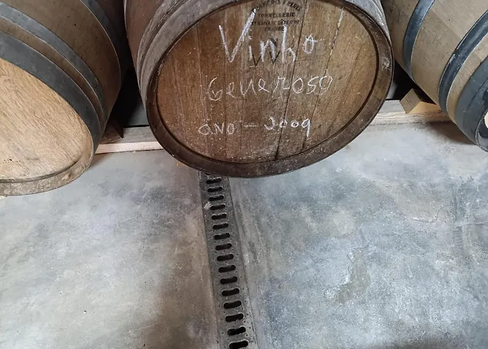 Cosy Historical House In - Quinta Do Cabo * 拉梅戈